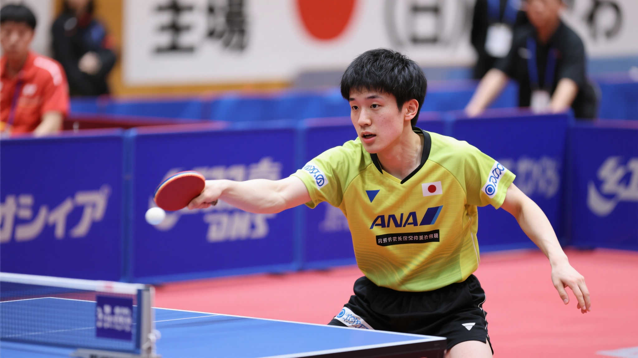 开云体育APP简介