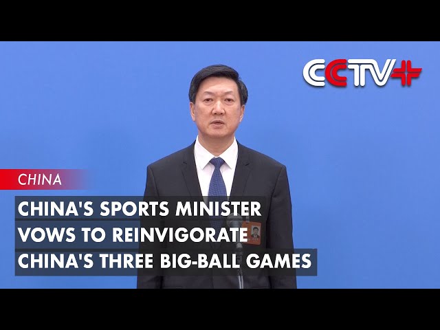 赛的洞察力