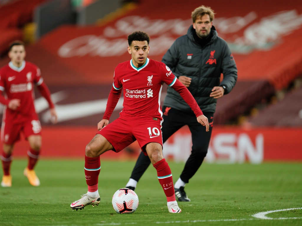 球的长期霸 球的长期霸